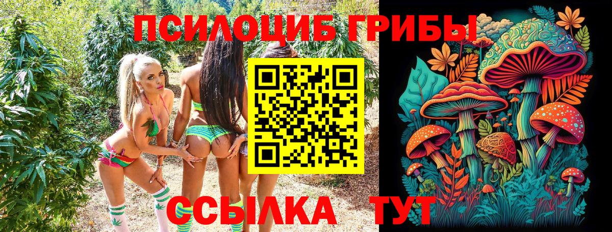 Псилоцибиновые грибы мицелий  Вход с VPN  Удомля  Галлюциногенные грибы Psilocybe 