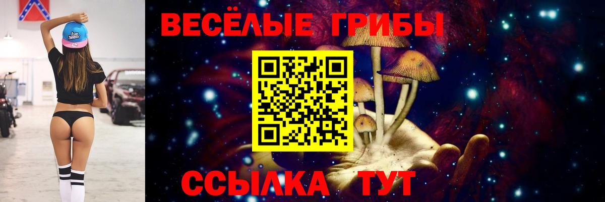 Галлюциногенные грибы GOLDEN TEACHER Удомля